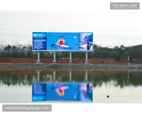 体育赛事直播实时的战术路径投影研发赛