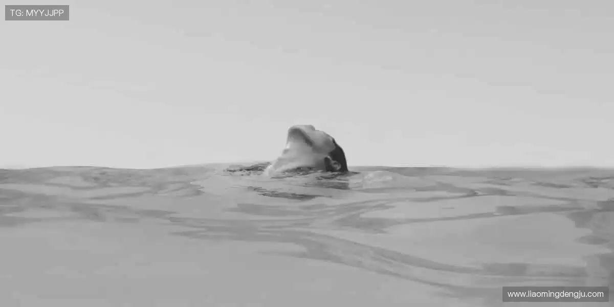 ⏰准时开播,分秒必争!📡稳定流畅,告别卡顿烦恼!